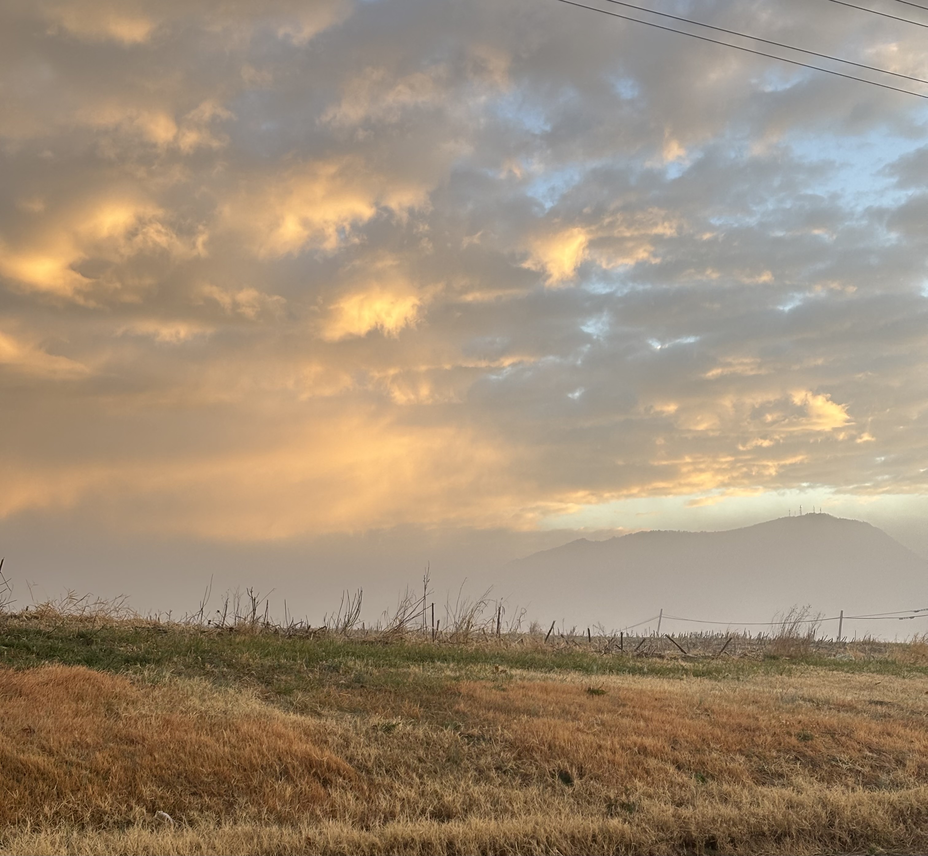 Seven Nights, One Mountain