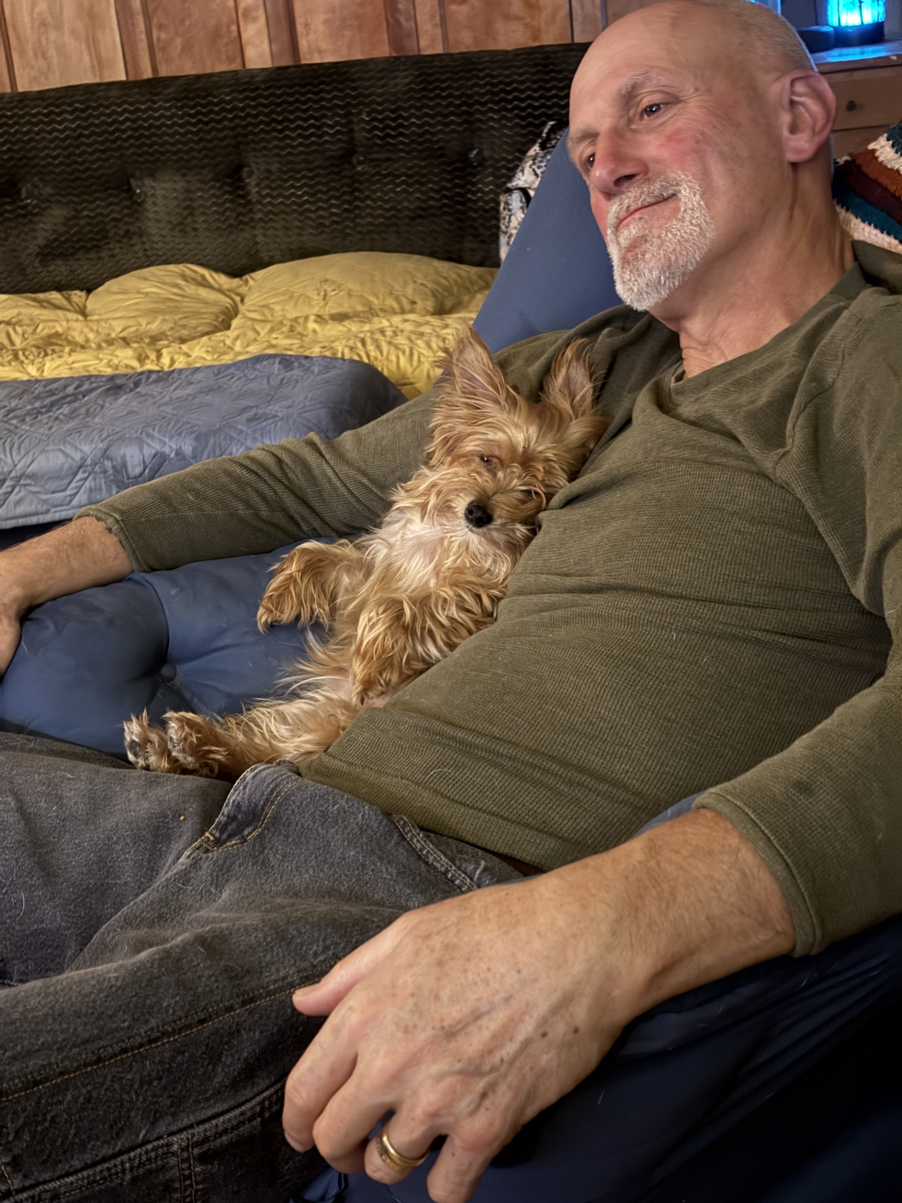 The Science of Snoozing