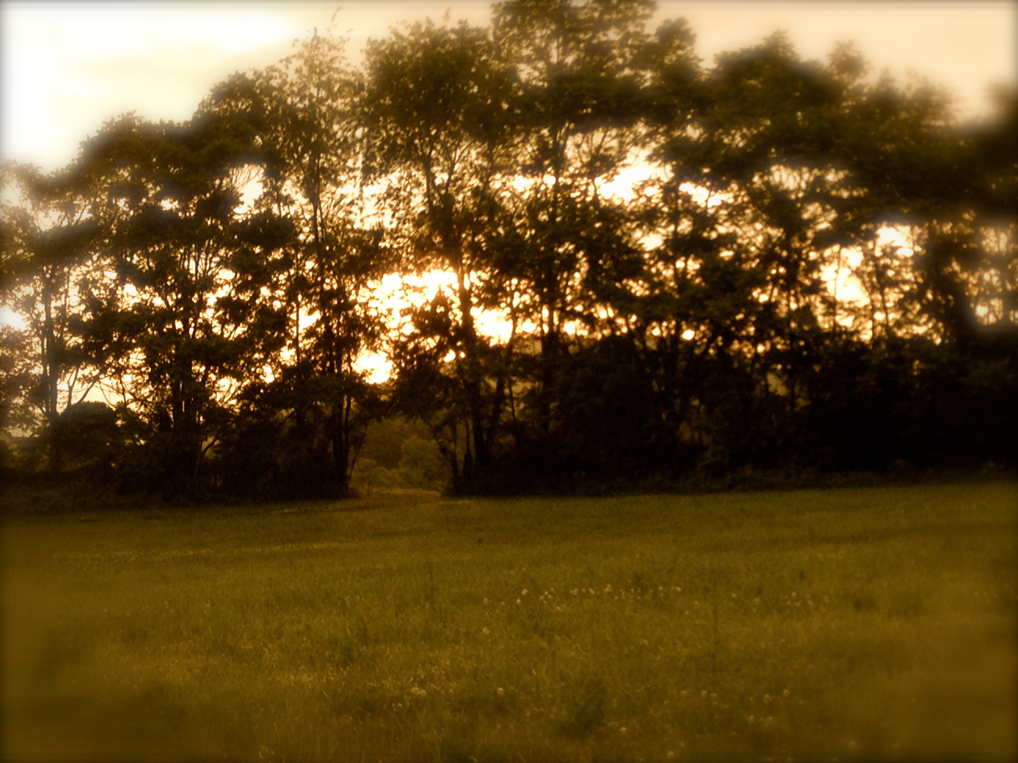 Short Story: Grandpa’s Magic Fishing Hole