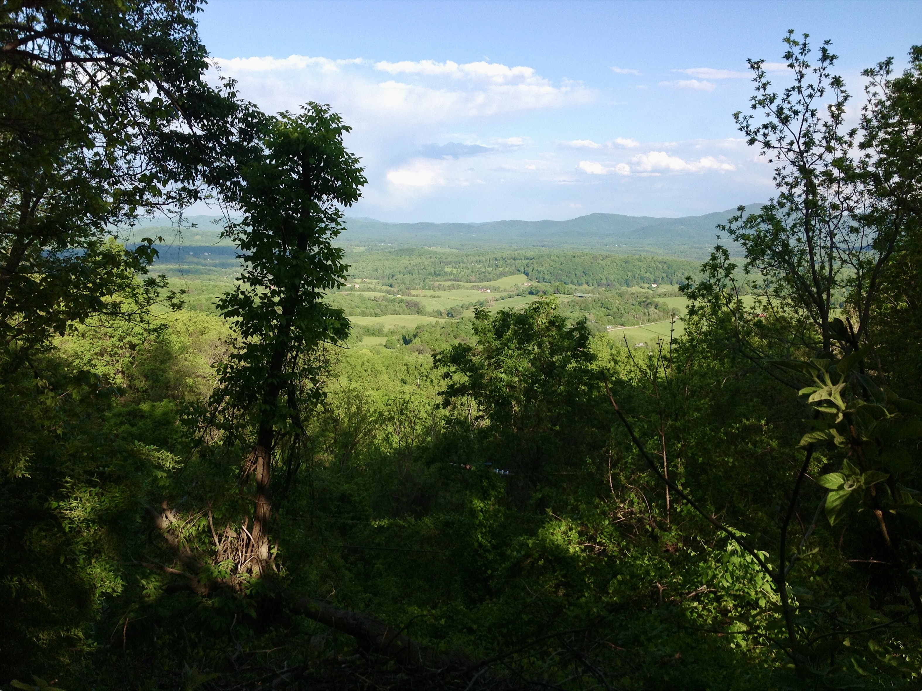 Fortunate Fortune: The pleasure of what we enjoy is lost by wanting more.