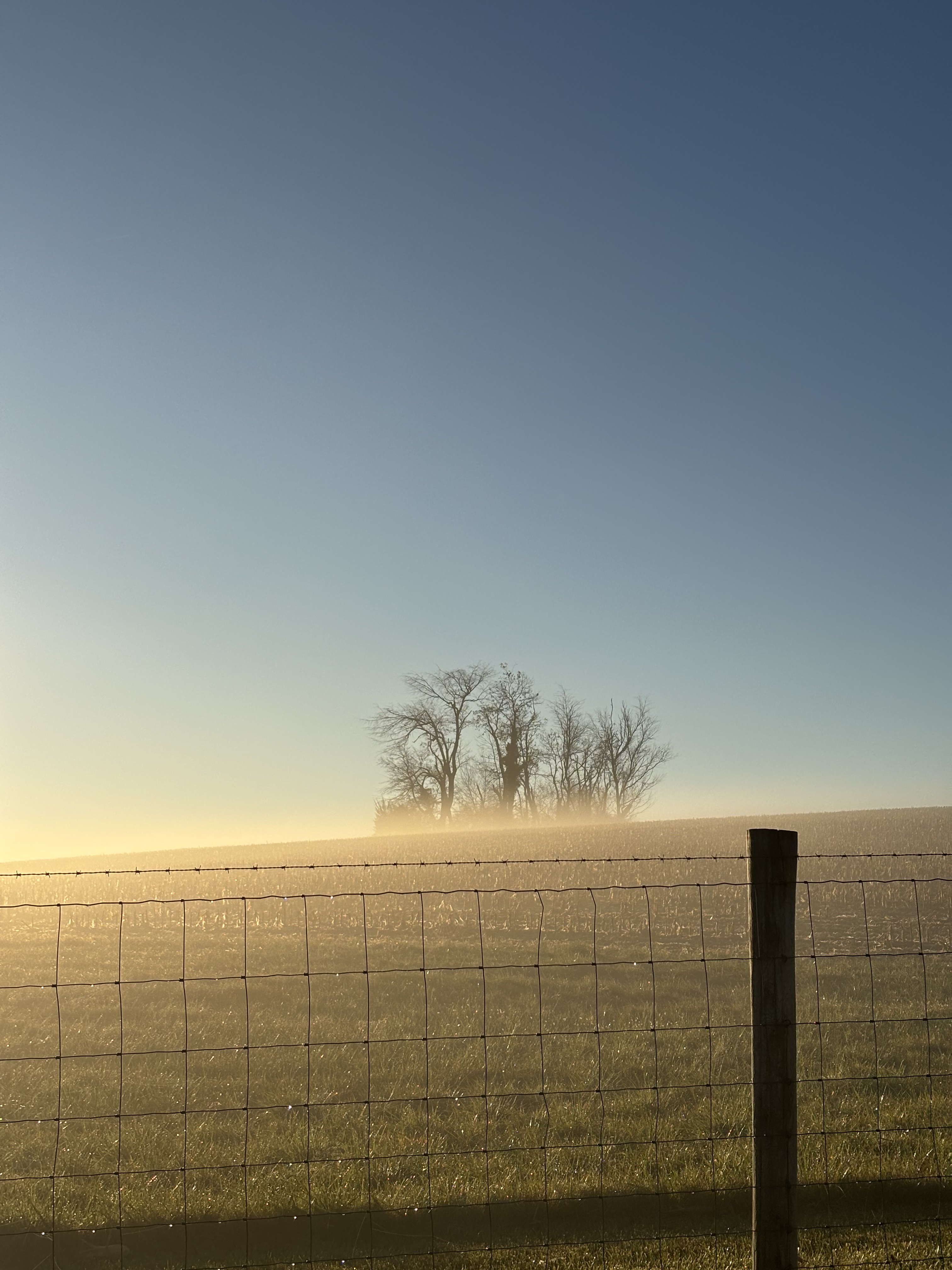 Morning in the Valley